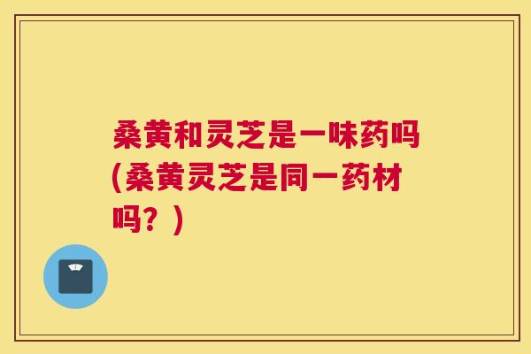 桑黄和灵芝是一味药吗(桑黄灵芝是同一药材吗?) 桑黄和灵芝是一味药吗(桑黄灵芝是同一药材吗?)