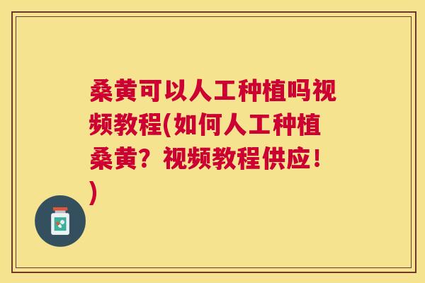 桑黄可以人工种植吗视频教程(如何人工种植桑黄?视频教程供应!) 桑黄可以人工种植吗视频教程(如何人工种植桑黄?视频教程供应!)