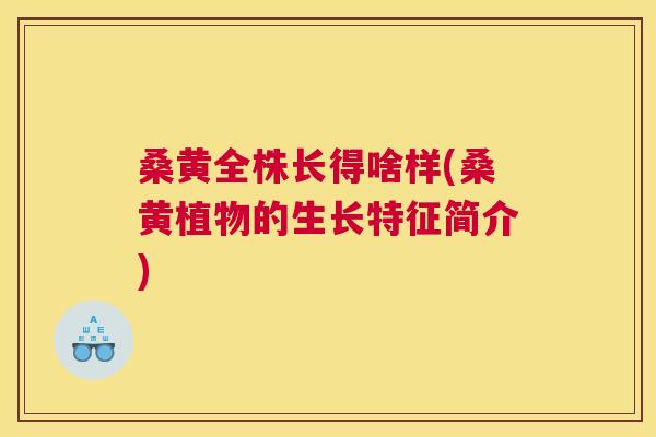 桑黄全株长得啥样(桑黄植物的生长特征简介) 桑黄全株长得啥样(桑黄植物的生长特征简介)