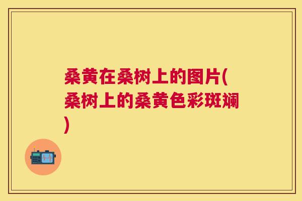 桑黄在桑树上的图片(桑树上的桑黄色彩斑斓) 桑黄在桑树上的图片(桑树上的桑黄色彩斑斓)