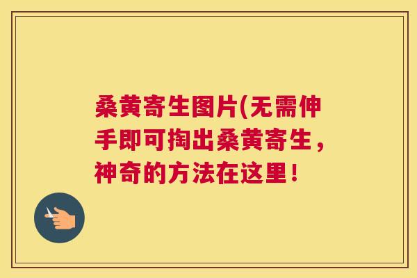 桑黄寄生图片(无需伸手即可掏出桑黄寄生,神奇的方法在这里! 桑黄寄生图片(无需伸手即可掏出桑黄寄生,神奇的方法在这里!