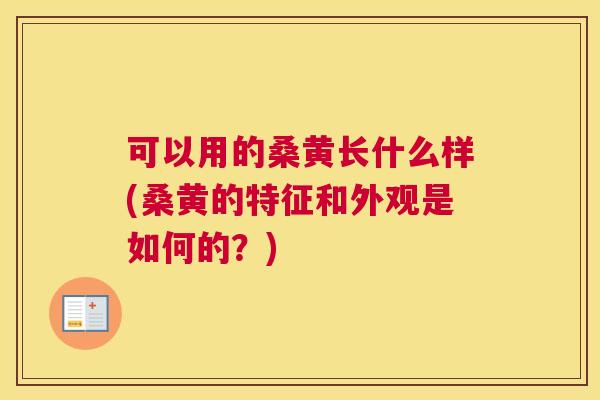 可以用的桑黄长什么样(桑黄的特征和外观是如何的?) 可以用的桑黄长什么样(桑黄的特征和外观是如何的?)