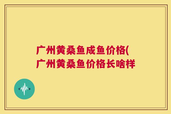 广州黄桑鱼成鱼价格(广州黄桑鱼价格长啥样 广州黄桑鱼成鱼价格(广州黄桑鱼价格长啥样