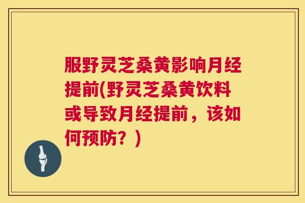 服野灵芝桑黄影响提前(野灵芝桑黄饮料或导致提前,该如何?) 服野灵芝桑黄影响提前(野灵芝桑黄饮料或导致提前,该如何?)
