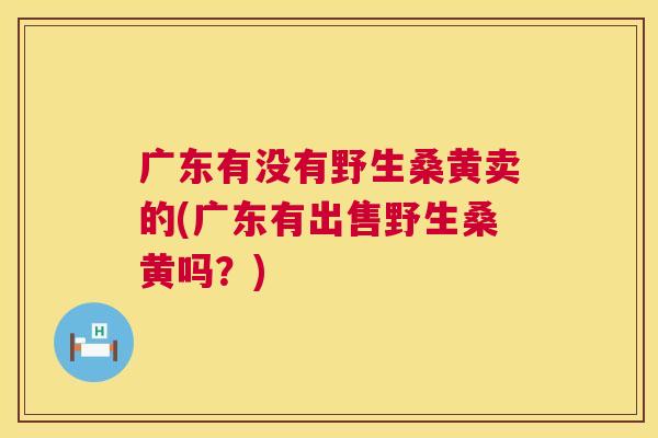 广东有没有野生桑黄卖的(广东有出售野生桑黄吗?) 广东有没有野生桑黄卖的(广东有出售野生桑黄吗?)