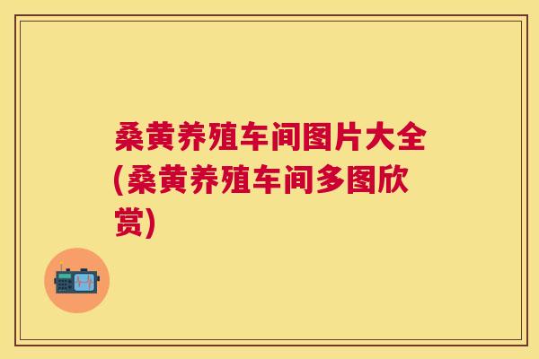 桑黄养殖车间图片大全(桑黄养殖车间多图欣赏)