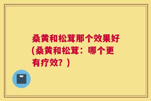 桑黄和松茸那个效果好(桑黄和松茸:哪个更有疗效?) 桑黄和松茸那个效果好(桑黄和松茸:哪个更有疗效?)