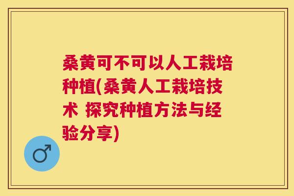 桑黄可不可以人工栽培种植(桑黄人工栽培技术 探究种植方法与经验分享) 桑黄可不可以人工栽培种植(桑黄人工栽培技术 探究种植方法与经验分享)