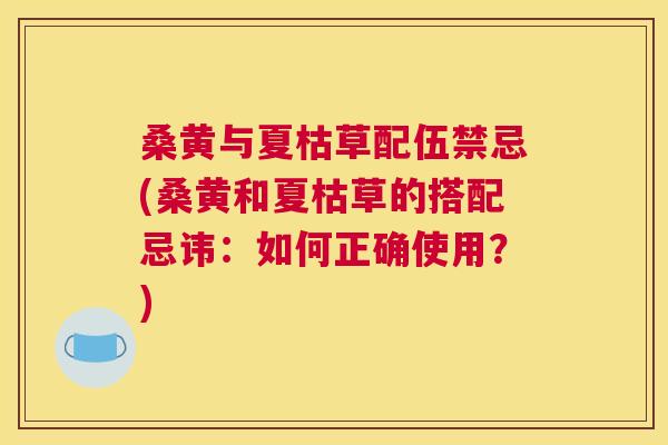 桑黄与夏枯草配伍禁忌(桑黄和夏枯草的搭配忌讳:如何正确使用?) 桑黄与夏枯草配伍禁忌(桑黄和夏枯草的搭配忌讳:如何正确使用?)