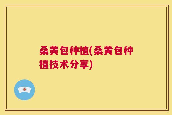 桑黄包种植(桑黄包种植技术分享) 桑黄包种植(桑黄包种植技术分享)