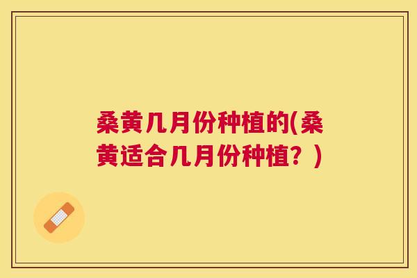 桑黄几月份种植的(桑黄适合几月份种植?) 桑黄几月份种植的(桑黄适合几月份种植?)