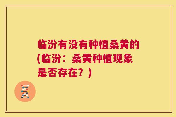 临汾有没有种植桑黄的(临汾:桑黄种植现象是否存在?) 临汾有没有种植桑黄的(临汾:桑黄种植现象是否存在?)