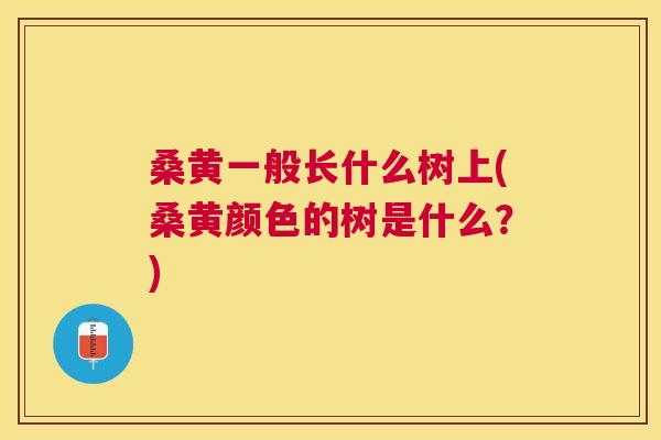 桑黄一般长什么树上(桑黄颜色的树是什么?) 桑黄一般长什么树上(桑黄颜色的树是什么?)