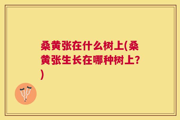 桑黄张在什么树上(桑黄张生长在哪种树上?) 桑黄张在什么树上(桑黄张生长在哪种树上?)