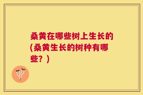桑黄在哪些树上生长的(桑黄生长的树种有哪些?) 桑黄在哪些树上生长的(桑黄生长的树种有哪些?)