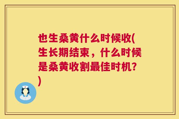 也生桑黄什么时候收(生长期结束,什么时候是桑黄收割佳时机?) 也生桑黄什么时候收(生长期结束,什么时候是桑黄收割佳时机?)