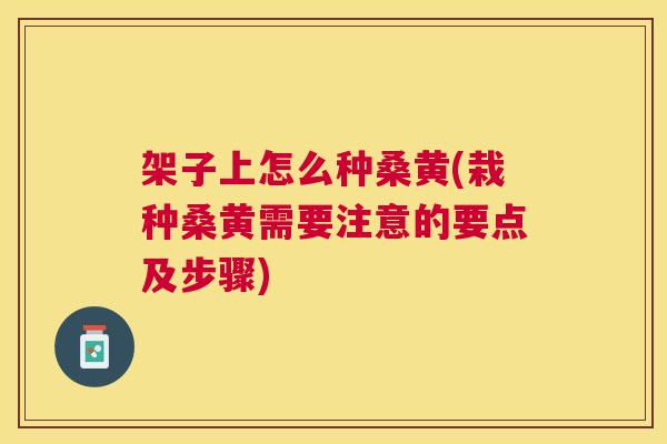 架子上怎么种桑黄(栽种桑黄需要注意的要点及步骤)