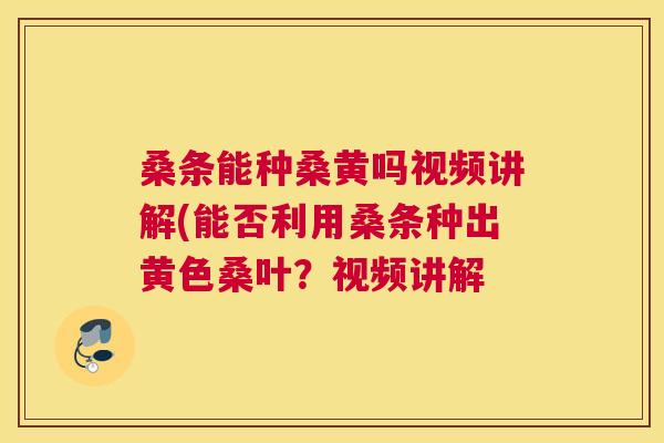 桑条能种桑黄吗视频讲解(能否利用桑条种出黄色桑叶?视频讲解 桑条能种桑黄吗视频讲解(能否利用桑条种出黄色桑叶?视频讲解