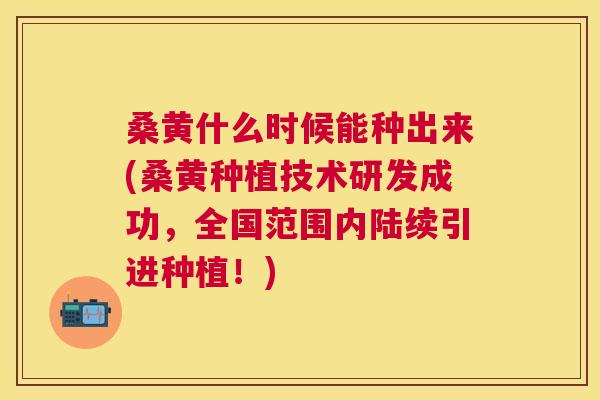 桑黄什么时候能种出来(桑黄种植技术研发成功,全国范围内陆续引进种植!) 桑黄什么时候能种出来(桑黄种植技术研发成功,全国范围内陆续引进种植!)