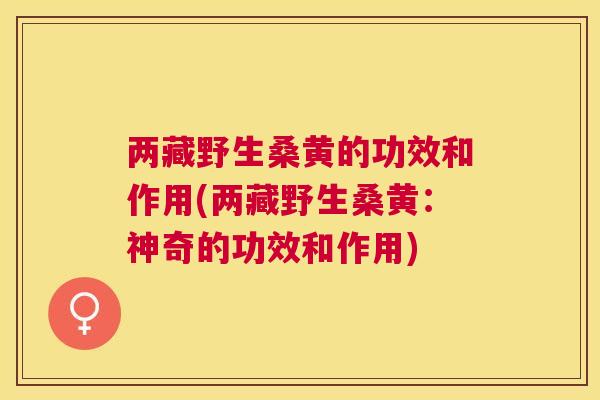 两藏野生桑黄的功效和作用(两藏野生桑黄:神奇的功效和作用) 两藏野生桑黄的功效和作用(两藏野生桑黄:神奇的功效和作用)