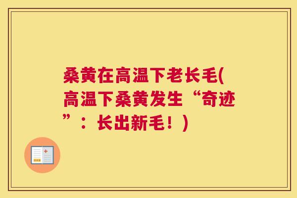 桑黄在高温下老长毛(高温下桑黄发生“奇迹”:长出新毛!) 桑黄在高温下老长毛(高温下桑黄发生“奇迹”:长出新毛!)