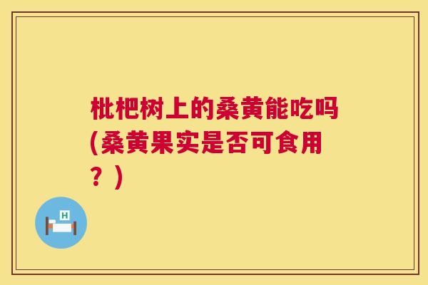 枇杷树上的桑黄能吃吗(桑黄果实是否可食用?) 枇杷树上的桑黄能吃吗(桑黄果实是否可食用?)