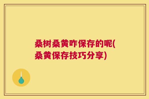 桑树桑黄咋保存的呢(桑黄保存技巧分享) 桑树桑黄咋保存的呢(桑黄保存技巧分享)