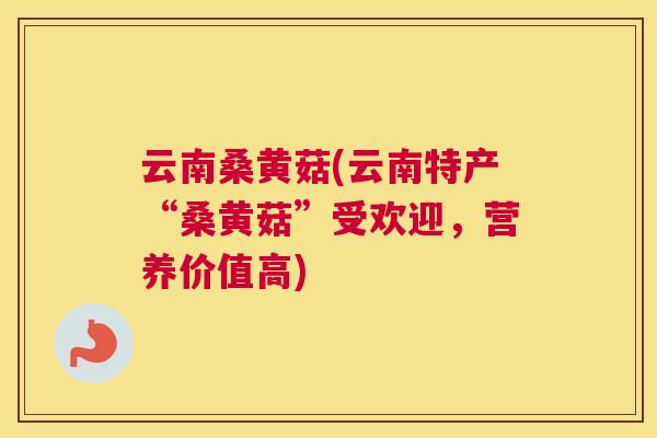 云南桑黄菇(云南特产“桑黄菇”受欢迎,营养价值高) 云南桑黄菇(云南特产“桑黄菇”受欢迎,营养价值高)