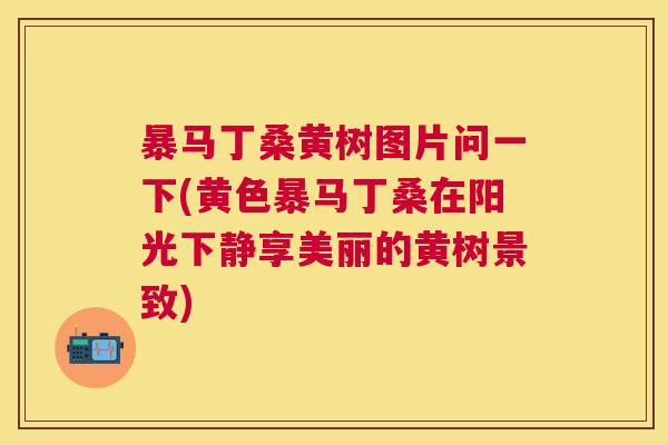 暴马丁桑黄树图片问一下(黄色暴马丁桑在阳光下静享美丽的黄树景致) 暴马丁桑黄树图片问一下(黄色暴马丁桑在阳光下静享美丽的黄树景致)