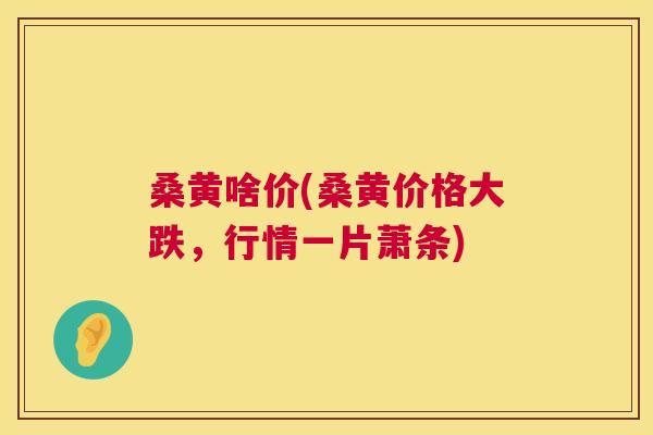 桑黄啥价(桑黄价格大跌,行情一片萧条) 桑黄啥价(桑黄价格大跌,行情一片萧条)