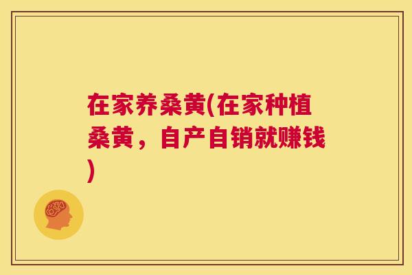 在家养桑黄(在家种植桑黄,自产自销就赚钱) 在家养桑黄(在家种植桑黄,自产自销就赚钱)
