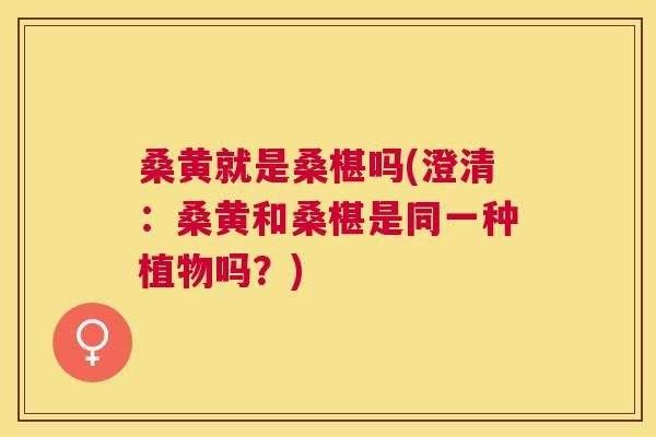 桑黄就是桑椹吗(澄清:桑黄和桑椹是同一种植物吗?) 桑黄就是桑椹吗(澄清:桑黄和桑椹是同一种植物吗?)