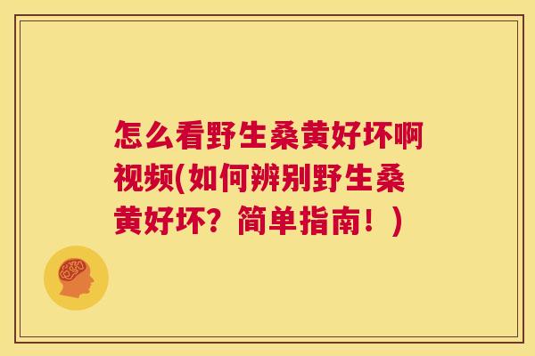 怎么看野生桑黄好坏啊视频(如何辨别野生桑黄好坏?简单指南!) 怎么看野生桑黄好坏啊视频(如何辨别野生桑黄好坏?简单指南!)