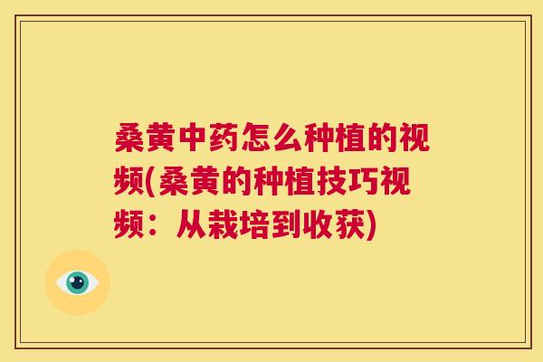 桑黄怎么种植的视频(桑黄的种植技巧视频:从栽培到收获) 桑黄怎么种植的视频(桑黄的种植技巧视频:从栽培到收获)