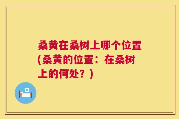 桑黄在桑树上哪个位置(桑黄的位置:在桑树上的何处?) 桑黄在桑树上哪个位置(桑黄的位置:在桑树上的何处?)