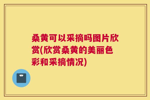 桑黄可以采摘吗图片欣赏(欣赏桑黄的美丽色彩和采摘情况) 桑黄可以采摘吗图片欣赏(欣赏桑黄的美丽色彩和采摘情况)