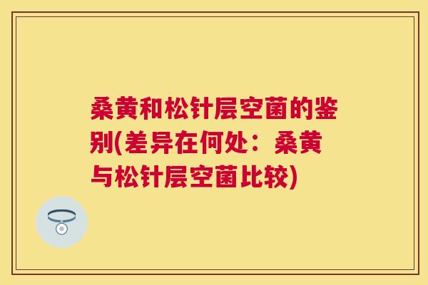 桑黄和松针层空菌的鉴别(差异在何处:桑黄与松针层空菌比较) 桑黄和松针层空菌的鉴别(差异在何处:桑黄与松针层空菌比较)