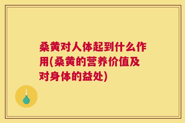 桑黄对人体起到什么作用(桑黄的营养价值及对身体的益处) 桑黄对人体起到什么作用(桑黄的营养价值及对身体的益处)