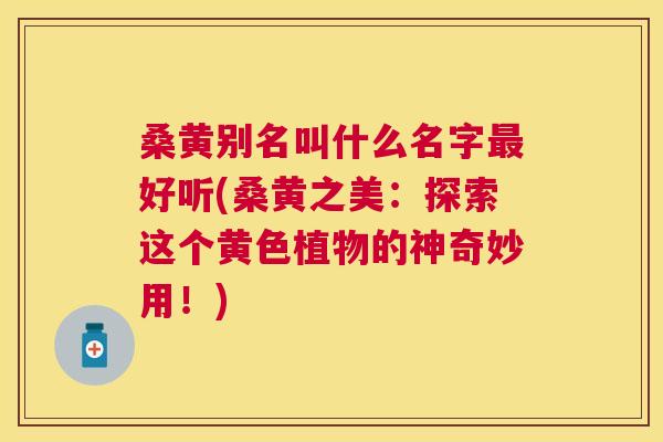 桑黄别名叫什么名字好听(桑黄之美:探索这个黄色植物的神奇妙用!) 桑黄别名叫什么名字好听(桑黄之美:探索这个黄色植物的神奇妙用!)