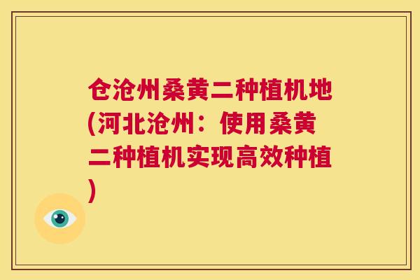 仓沧州桑黄二种植机地(河北沧州:使用桑黄二种植机实现高效种植) 仓沧州桑黄二种植机地(河北沧州:使用桑黄二种植机实现高效种植)