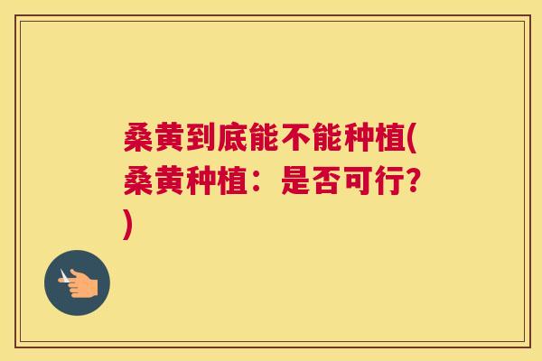 桑黄到底能不能种植(桑黄种植:是否可行?) 桑黄到底能不能种植(桑黄种植:是否可行?)