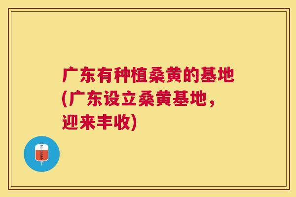 广东有种植桑黄的基地(广东设立桑黄基地,迎来丰收) 广东有种植桑黄的基地(广东设立桑黄基地,迎来丰收)