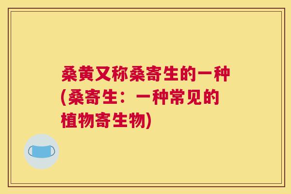 桑黄又称桑寄生的一种(桑寄生:一种常见的植物寄生物) 桑黄又称桑寄生的一种(桑寄生:一种常见的植物寄生物)