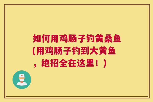 如何用鸡肠子钓黄桑鱼(用鸡肠子钓到大黄鱼,绝招全在这里!) 如何用鸡肠子钓黄桑鱼(用鸡肠子钓到大黄鱼,绝招全在这里!)