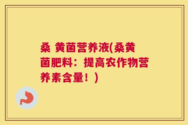 桑 黄菌营养液(桑黄菌肥料:提高农作物营养素含量!) 桑 黄菌营养液(桑黄菌肥料:提高农作物营养素含量!)