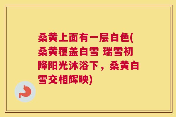 桑黄上面有一层白色(桑黄覆盖白雪 瑞雪初降阳光沐浴下,桑黄白雪交相辉映) 桑黄上面有一层白色(桑黄覆盖白雪 瑞雪初降阳光沐浴下,桑黄白雪交相辉映)