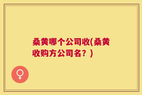 桑黄哪个公司收(桑黄收购方公司名?) 桑黄哪个公司收(桑黄收购方公司名?)