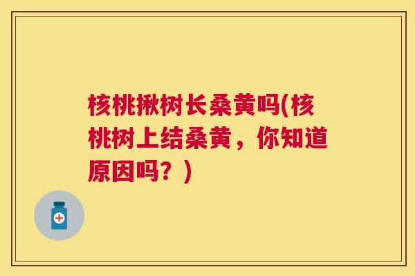 核桃揪树长桑黄吗(核桃树上结桑黄,你知道原因吗?) 核桃揪树长桑黄吗(核桃树上结桑黄,你知道原因吗?)