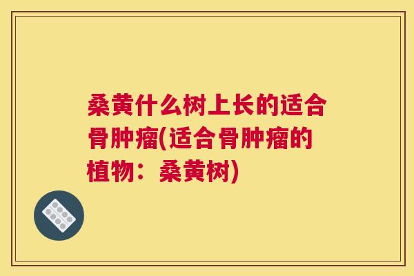 桑黄什么树上长的适合骨(适合骨的植物:桑黄树) 桑黄什么树上长的适合骨(适合骨的植物:桑黄树)