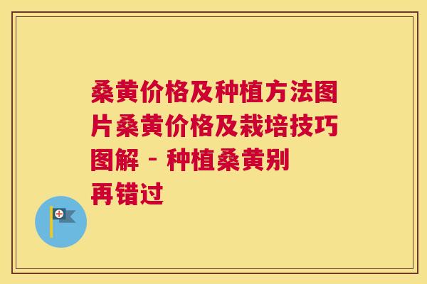 桑黄价格及种植方法图片桑黄价格及栽培技巧图解 - 种植桑黄别再错过 桑黄价格及种植方法图片桑黄价格及栽培技巧图解 - 种植桑黄别再错过